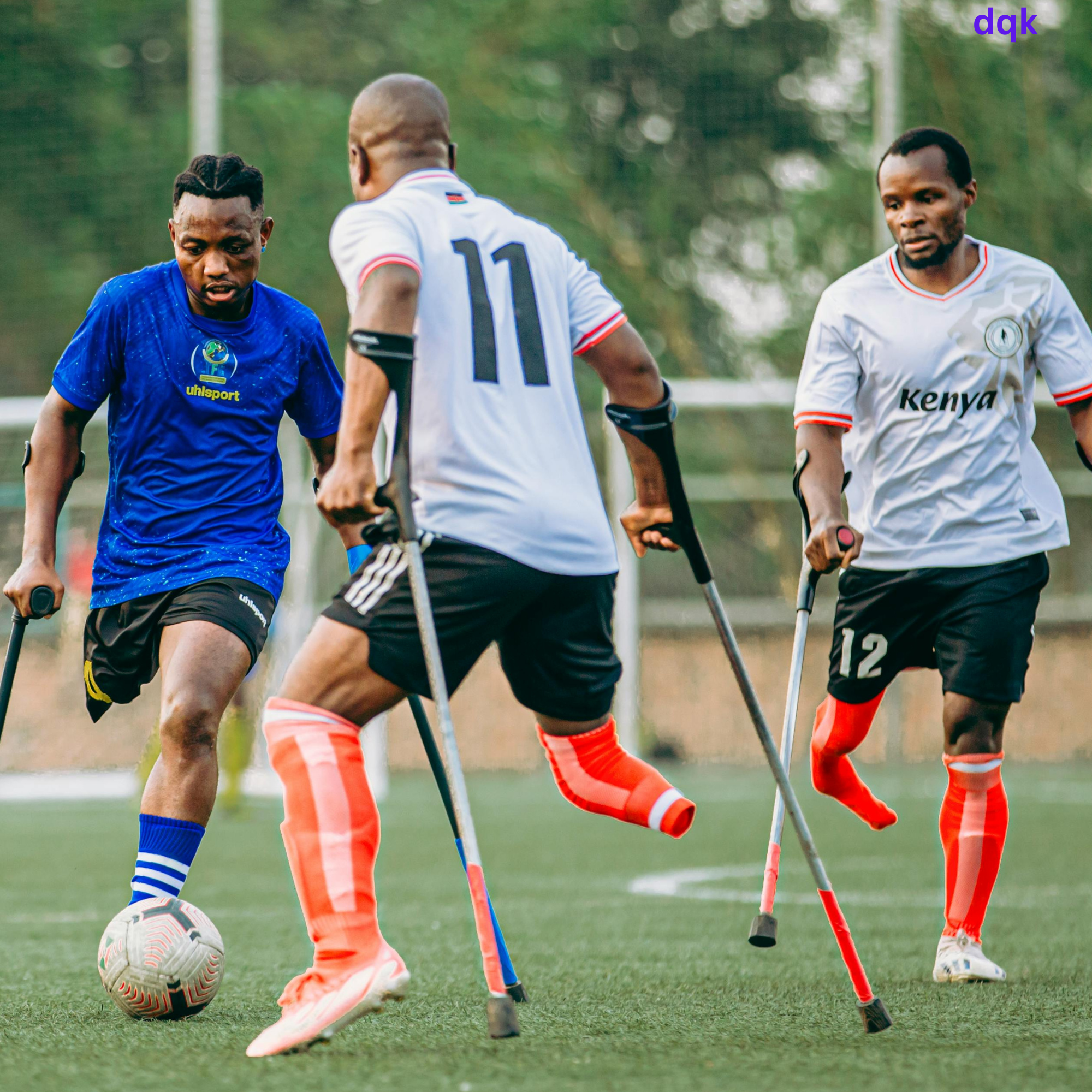Special needs inclusion program