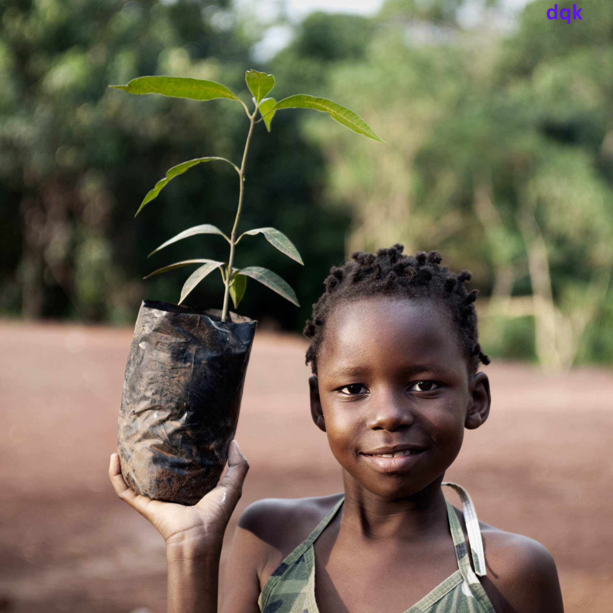 Tree planting and environmental conservation